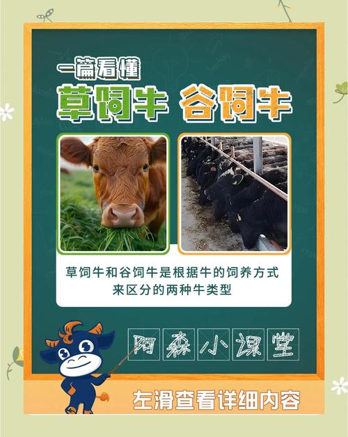 养牛技术视频全集，如何系统学习掌握？-图3