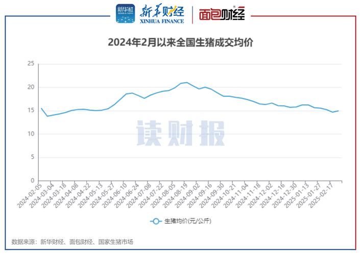今日菏泽毛猪价格咋样？-图2