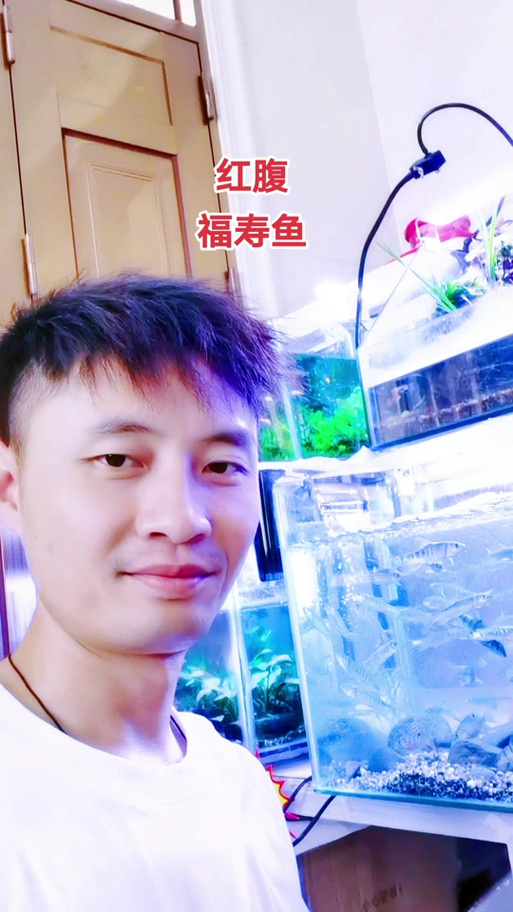 罗非鱼鱼缸养殖技术有哪些关键要点？-图2