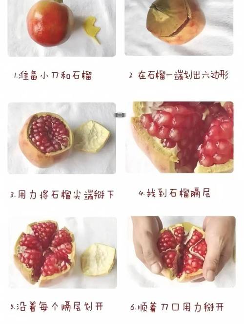 石榴品种知多少？-图2