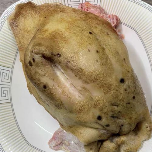 广西适合养哪些牛品种？-图2