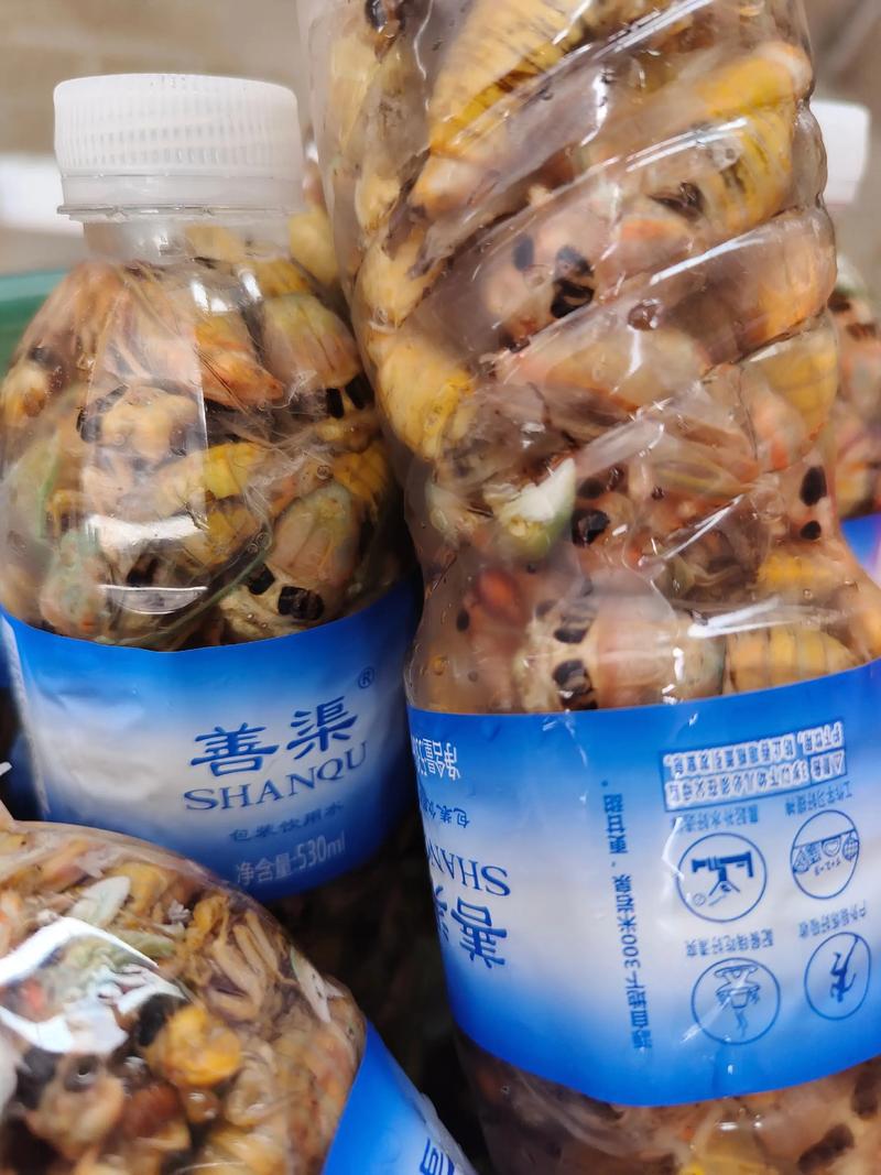 2025年知了猴价格会涨还是跌？-图2