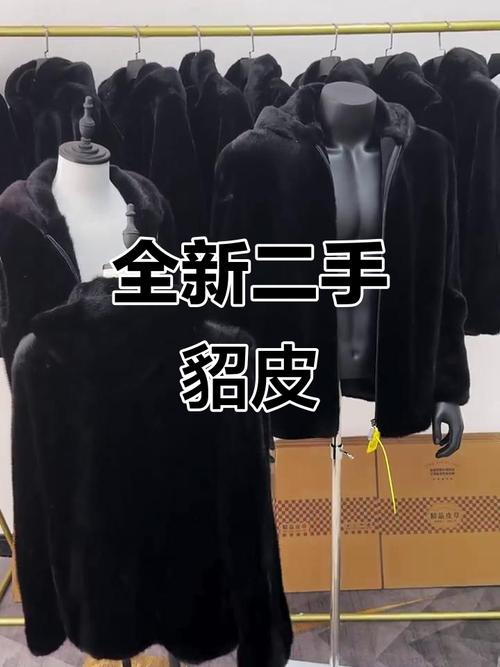 昌黎貂皮最新价格是多少？-图2