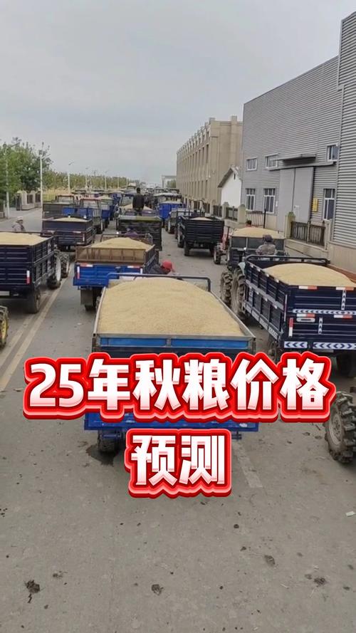 东北水稻价格未来会涨还是跌？-图2