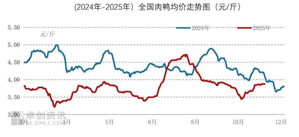 2025鸡苗价格为何大跌？-图3