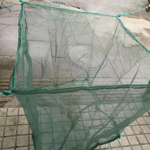 黄鳝养殖技术池塘网箱-图2