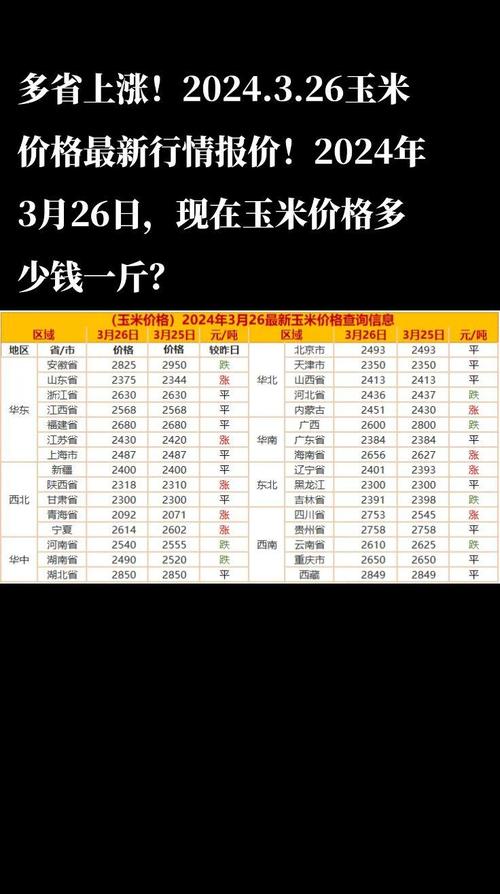 河北玉米价格现在多少？-图2