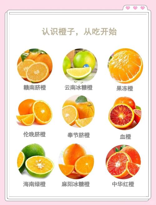 脐橙品种学名有哪些？-图3