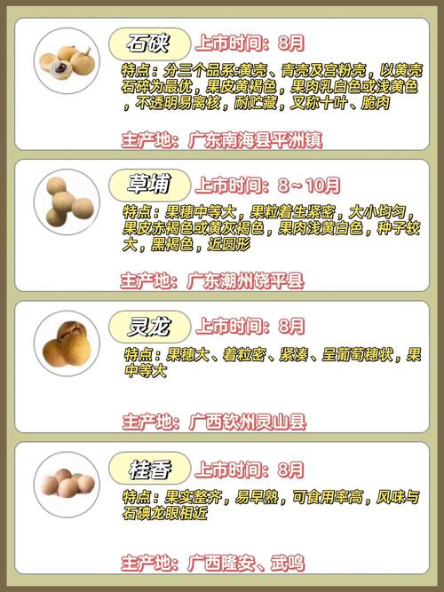 我国龙眼品种究竟有多少？-图1