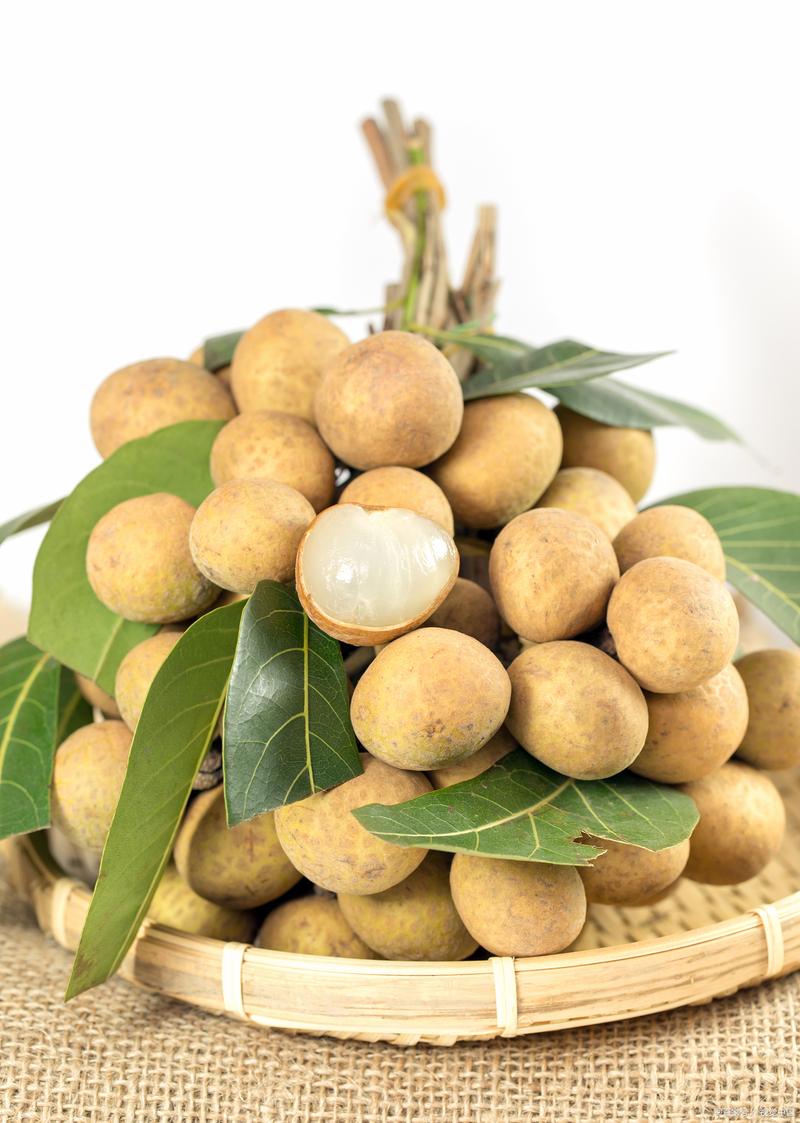 我国龙眼品种究竟有多少？-图3