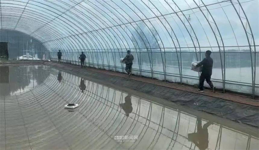 温室冬季养龙虾，关键技术有哪些？-图1