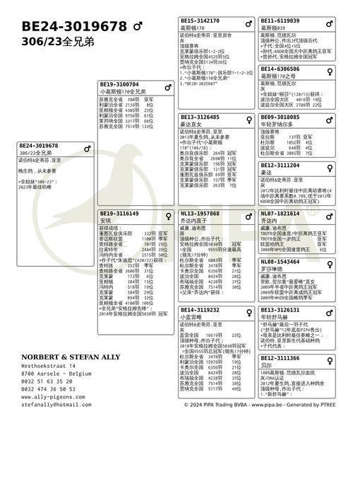 今日乳鸽价格最新行情-图2