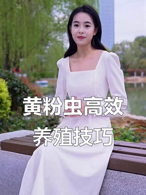 黄粉虫养殖技术与经验有哪些要点？-图3