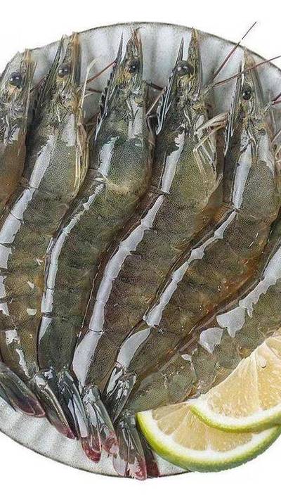 中国淡水虾品种到底有多少种？-图3