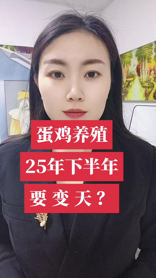成都淘汰蛋鸡最新价格多少？-图3