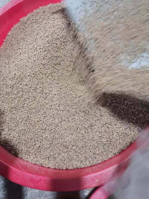 粪便繁殖蛆虫技术视频有何实用价值？-图1