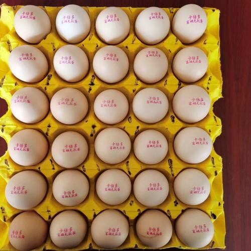 济宁泗水鸡蛋今日价格多少钱一斤？-图2