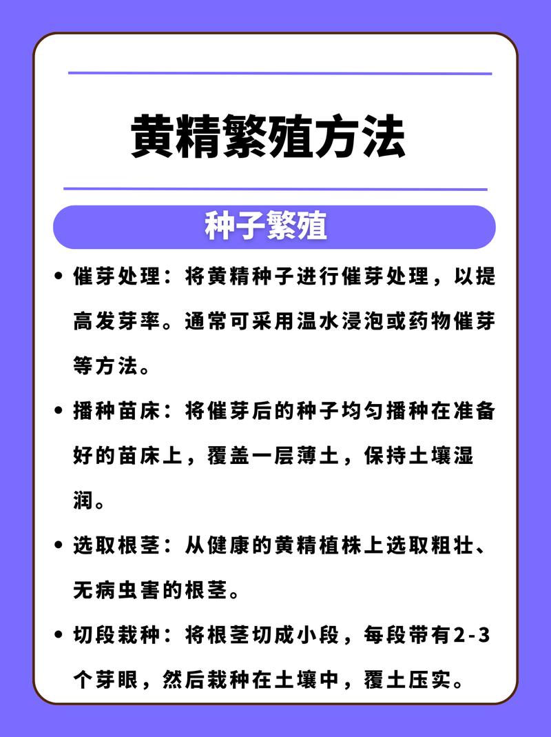 如何选择种植黄精品种-图2