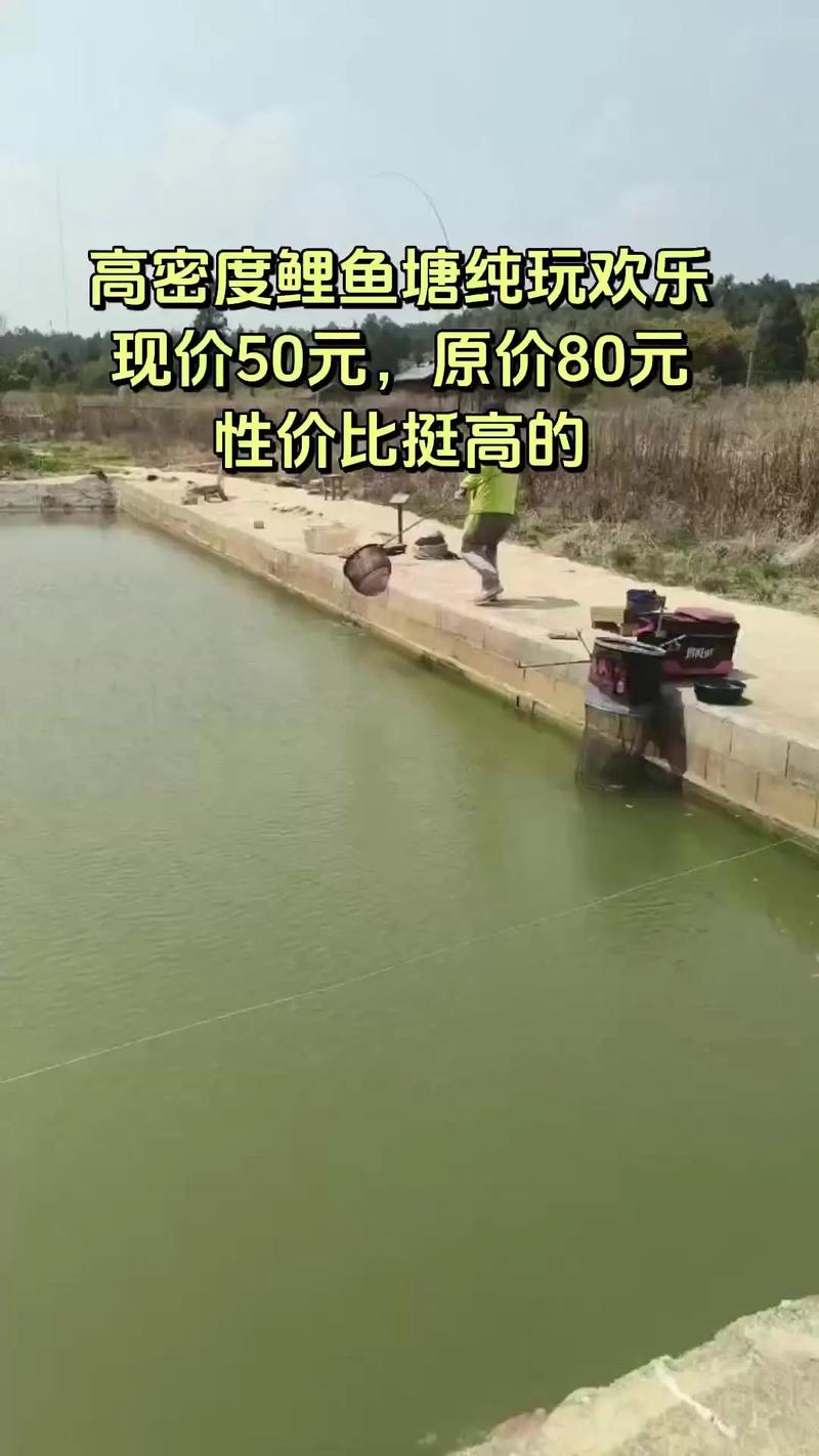 2025鲤鱼塘口价格会涨还是会跌？-图2