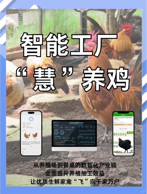 养鸡赚钱吗？技术如何提升效益？-图1