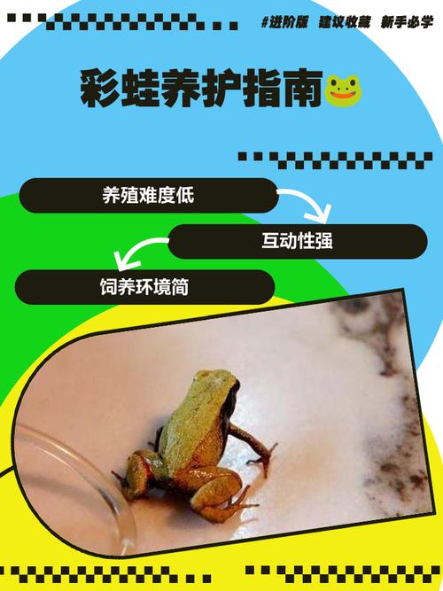 什么青蛙品种适合新手养殖？-图2