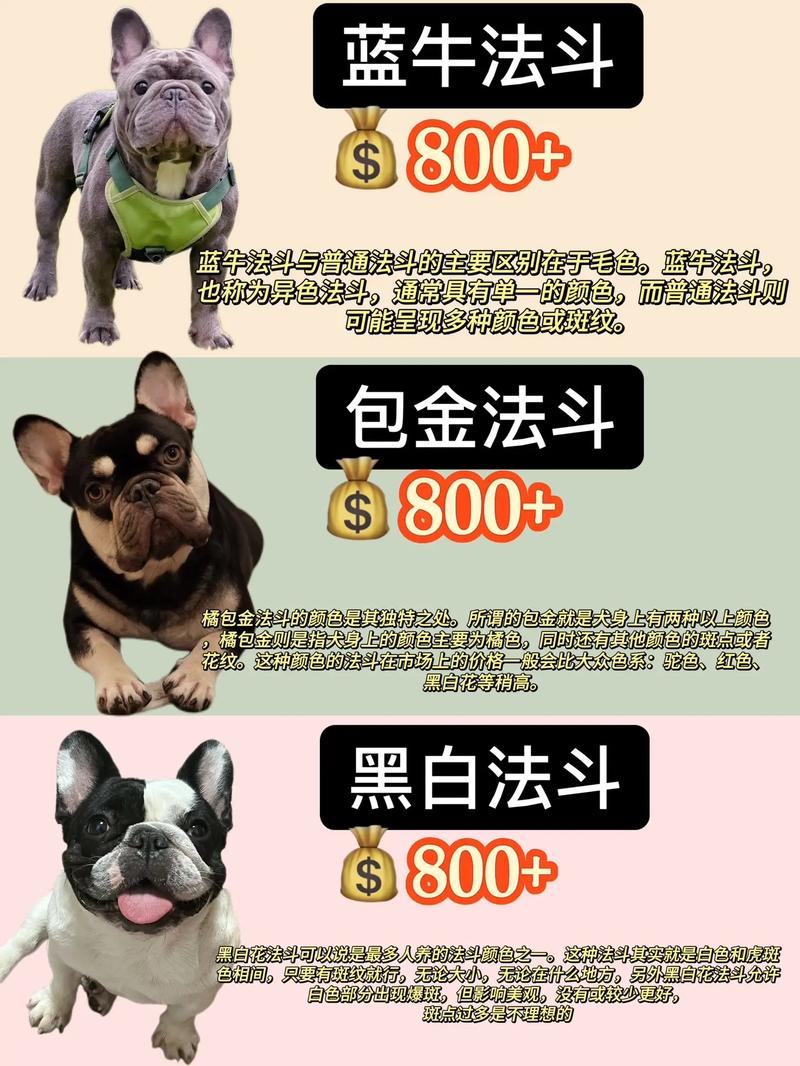 2025年犬价格趋势-图3