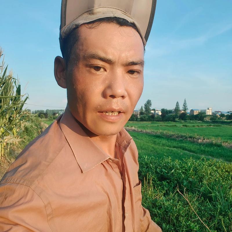 蚯蚓如何安全过冬？养殖技术要点有哪些？-图1