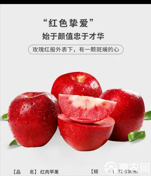 红色之爱种植技术视频，如何高效种植？-图1