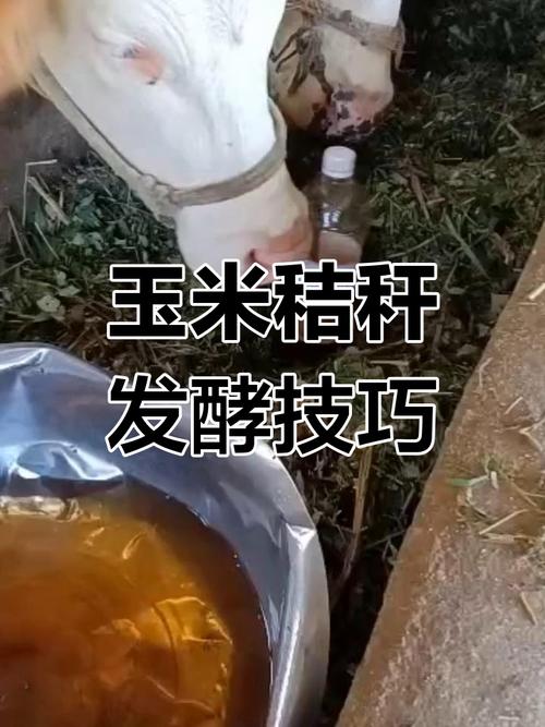 小型秸秆发酵技术视频怎么做？-图1
