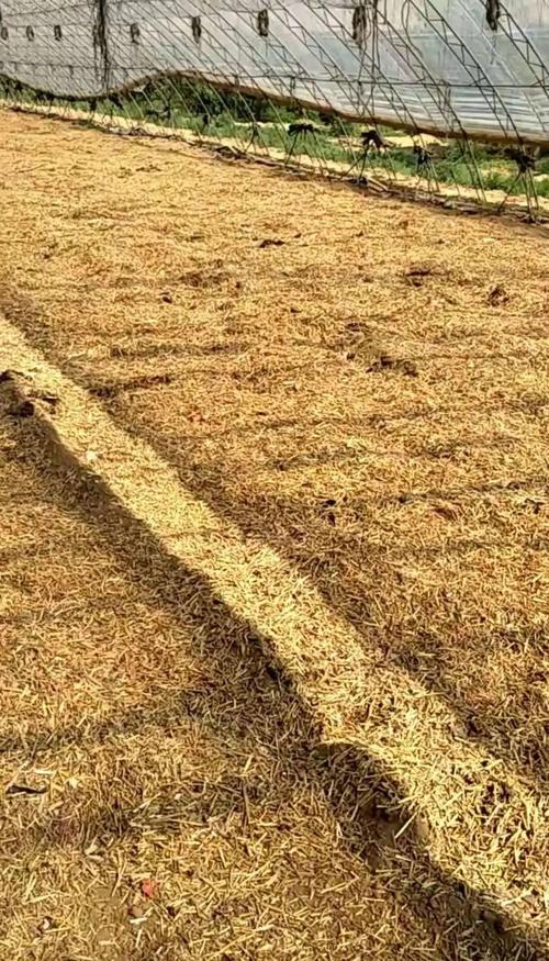 小型秸秆发酵技术视频怎么做？-图2