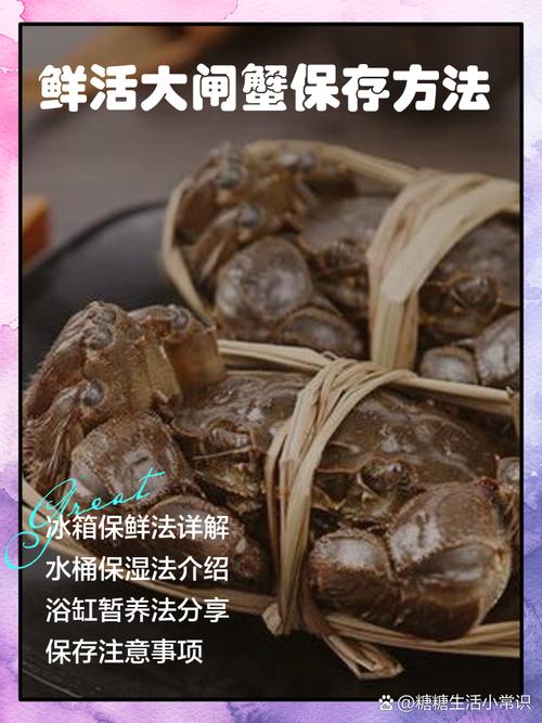 大闸蟹养殖技术如何掌握关键经验？-图2