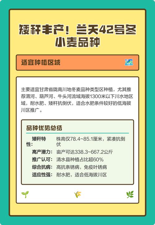 新冬34小麦品种有何特点与优势？-图3