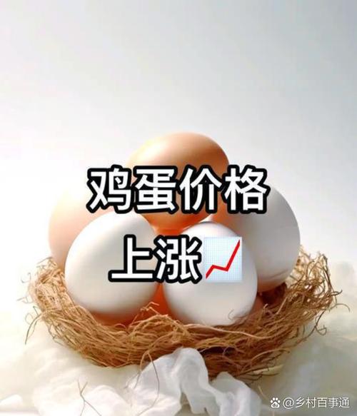 今日江苏鸡蛋价格咋样？-图3