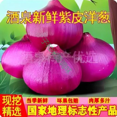 甘肃洋葱价格会涨还是跌？-图2