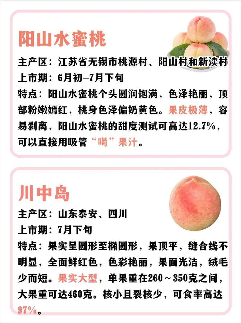 晚熟桃子品种到底有多少种？-图1