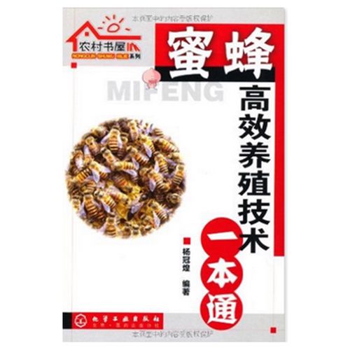 蜜蜂养殖技术有哪些关键要点？-图2