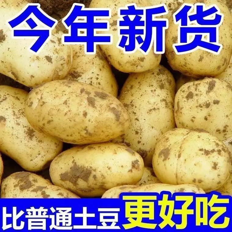2025士豆价格查询-图2