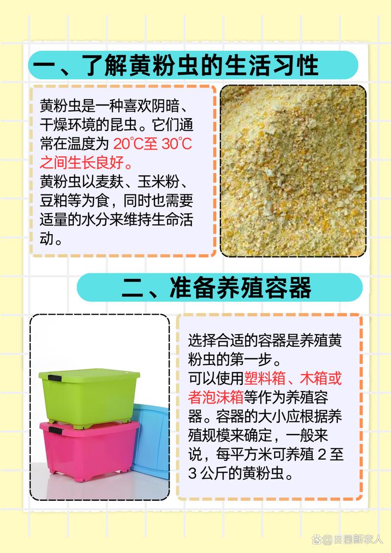 黄粉虫规模养殖技术要点有哪些？-图2