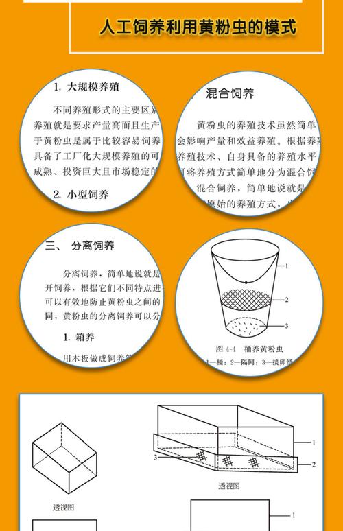 黄粉虫规模养殖技术要点有哪些？-图1