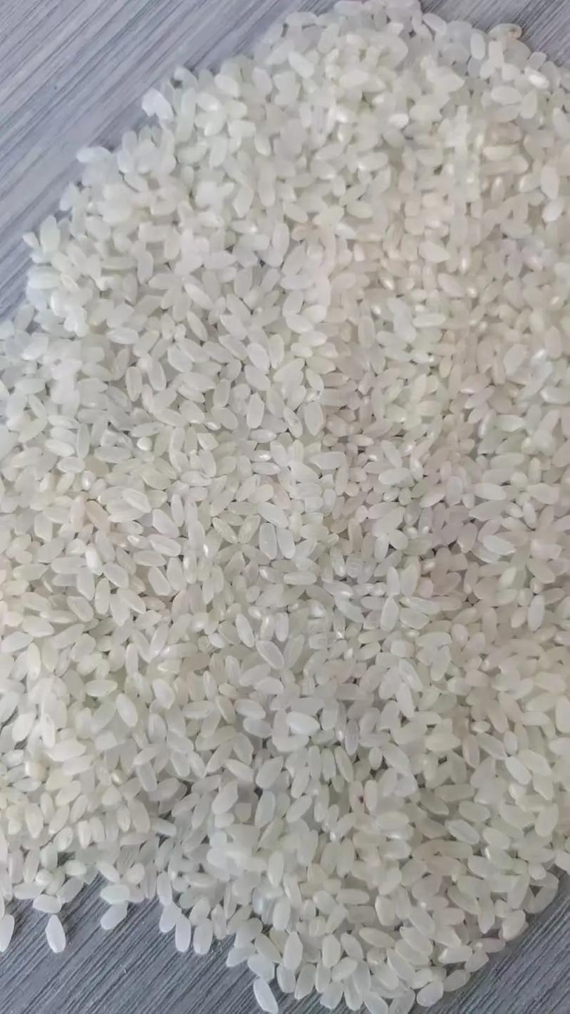 龙粳18水稻品种有何特点？-图3