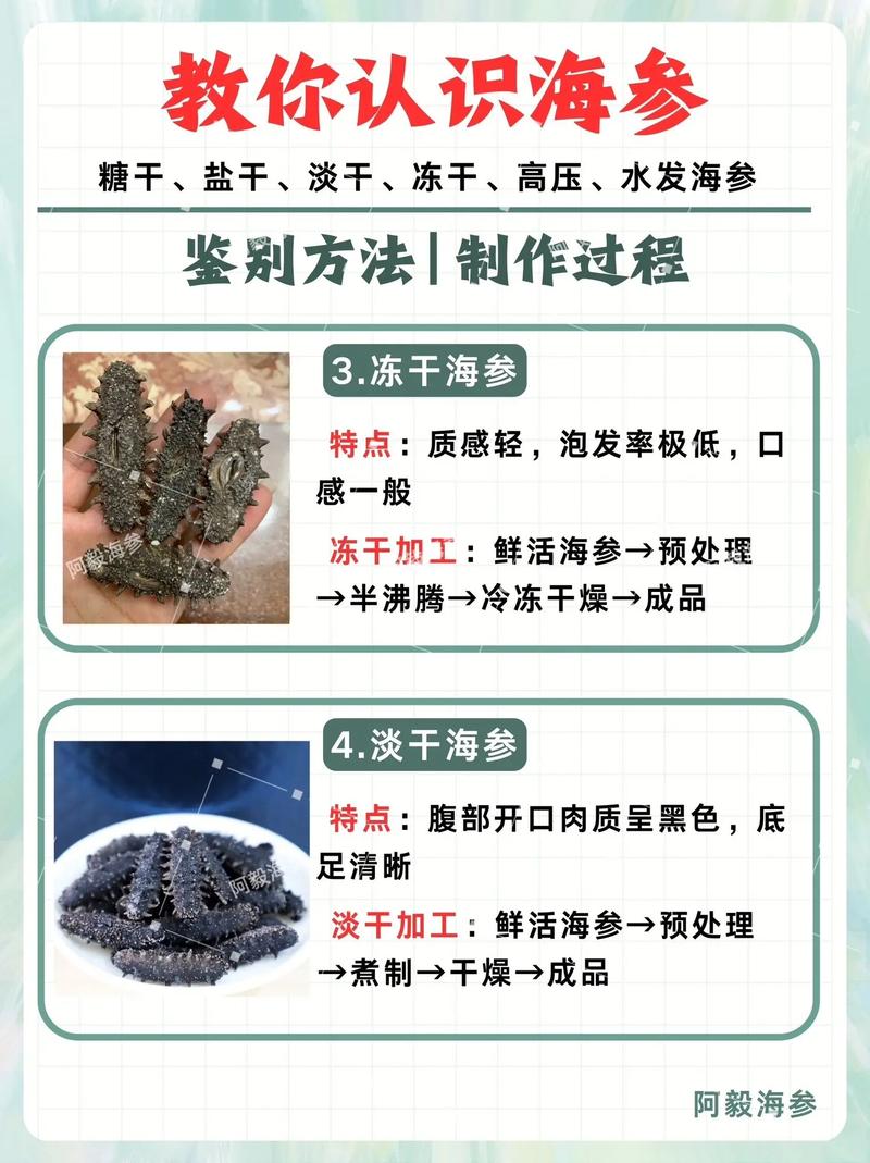 可控生态育养海参技术如何实现高效可持续？-图3