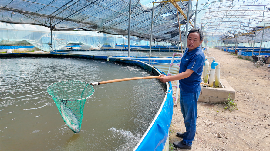 高产水产养鱼技术视频，如何高效养鱼？-图3