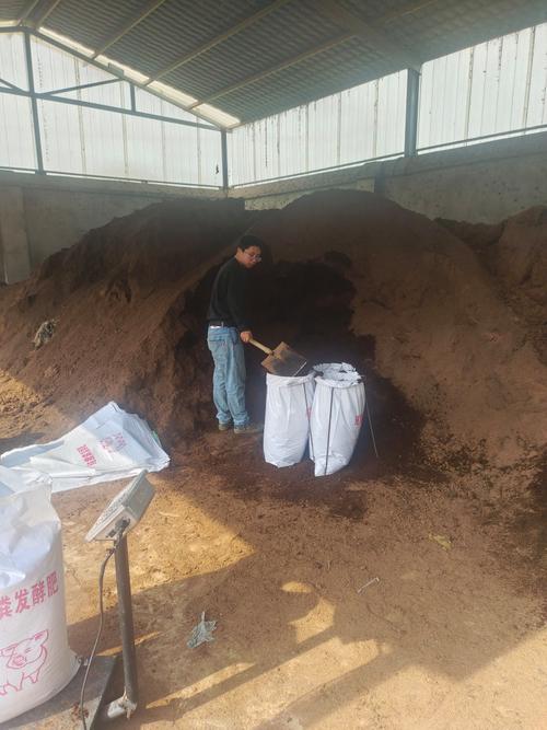 猪舍猪粪发酵视频怎么操作才高效？-图3