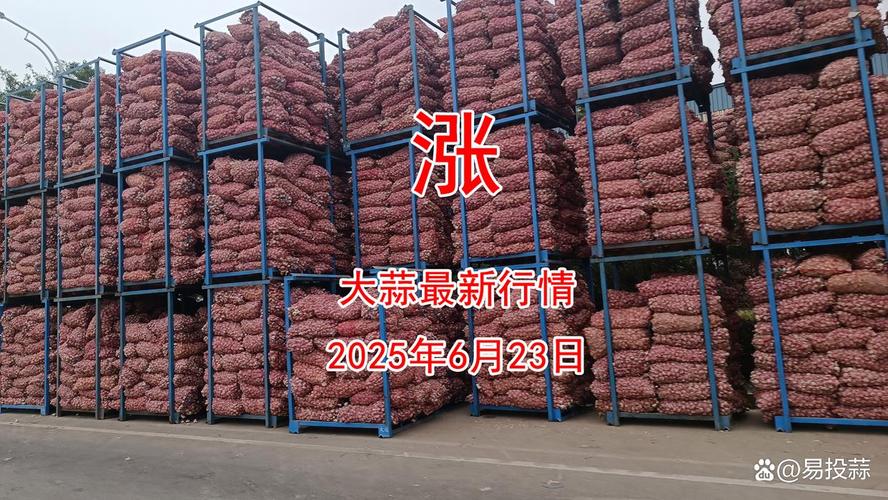 大蒜子2025年价格会涨还是跌？-图1