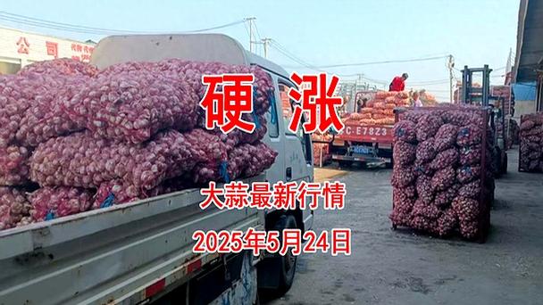 大蒜子2025年价格会涨还是跌？-图2