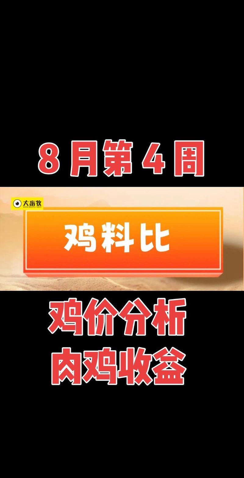 河南今天淘汰鸡子价格-图3