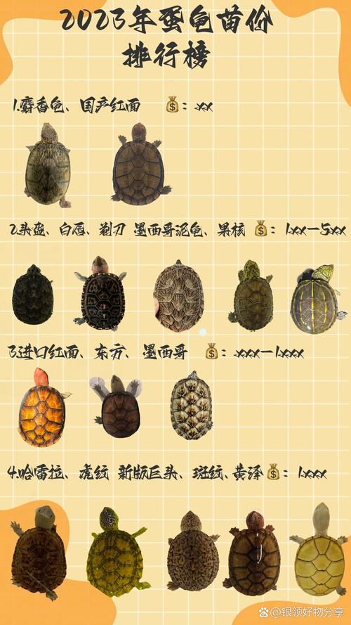 国龟有哪些品种 价格-图1