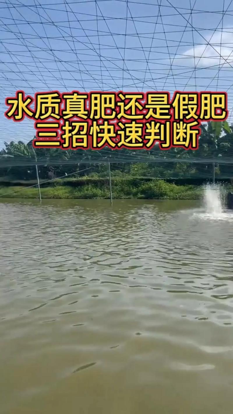 龙虾螃蟹鳜鱼混养，如何平衡生长与效益？-图1