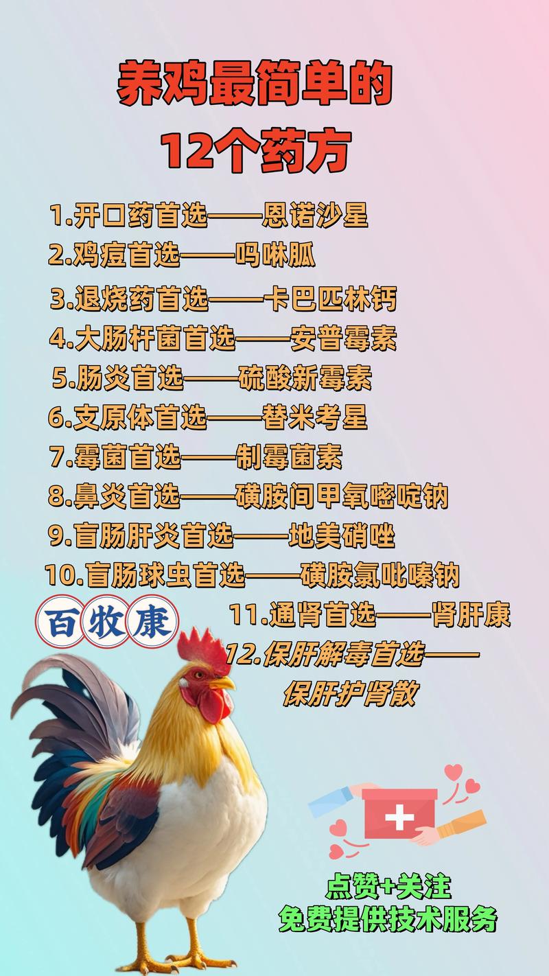 养鸡技术防治知识大全有哪些要点？-图3