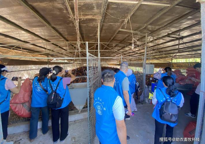 广西哪里能学靠谱养殖技术？-图3